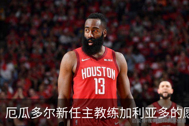 厄瓜多尔新任主教练加利亚多的愿景与计划