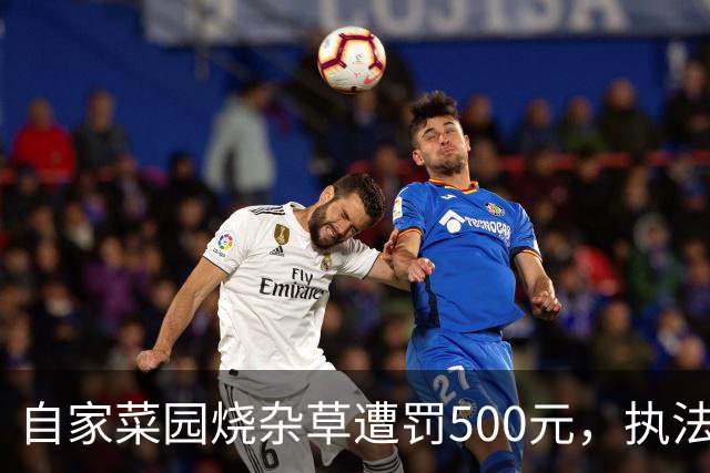 自家菜园烧杂草遭罚500元，执法人员拒绝出具文书，镇政府已介入调查